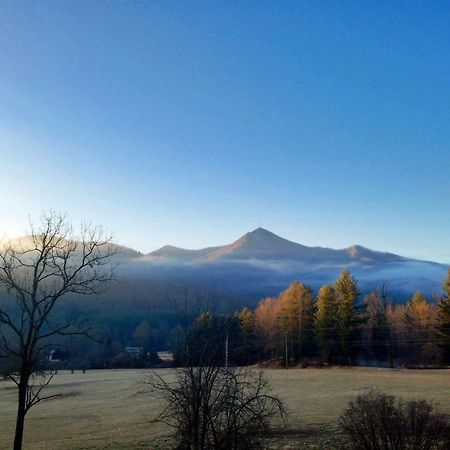 Pisgah View Ranch Hotell Candler Eksteriør bilde