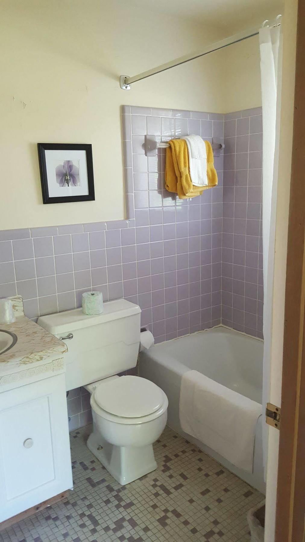 Pisgah View Ranch Hotell Candler Eksteriør bilde
